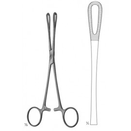 Sponge Forceps